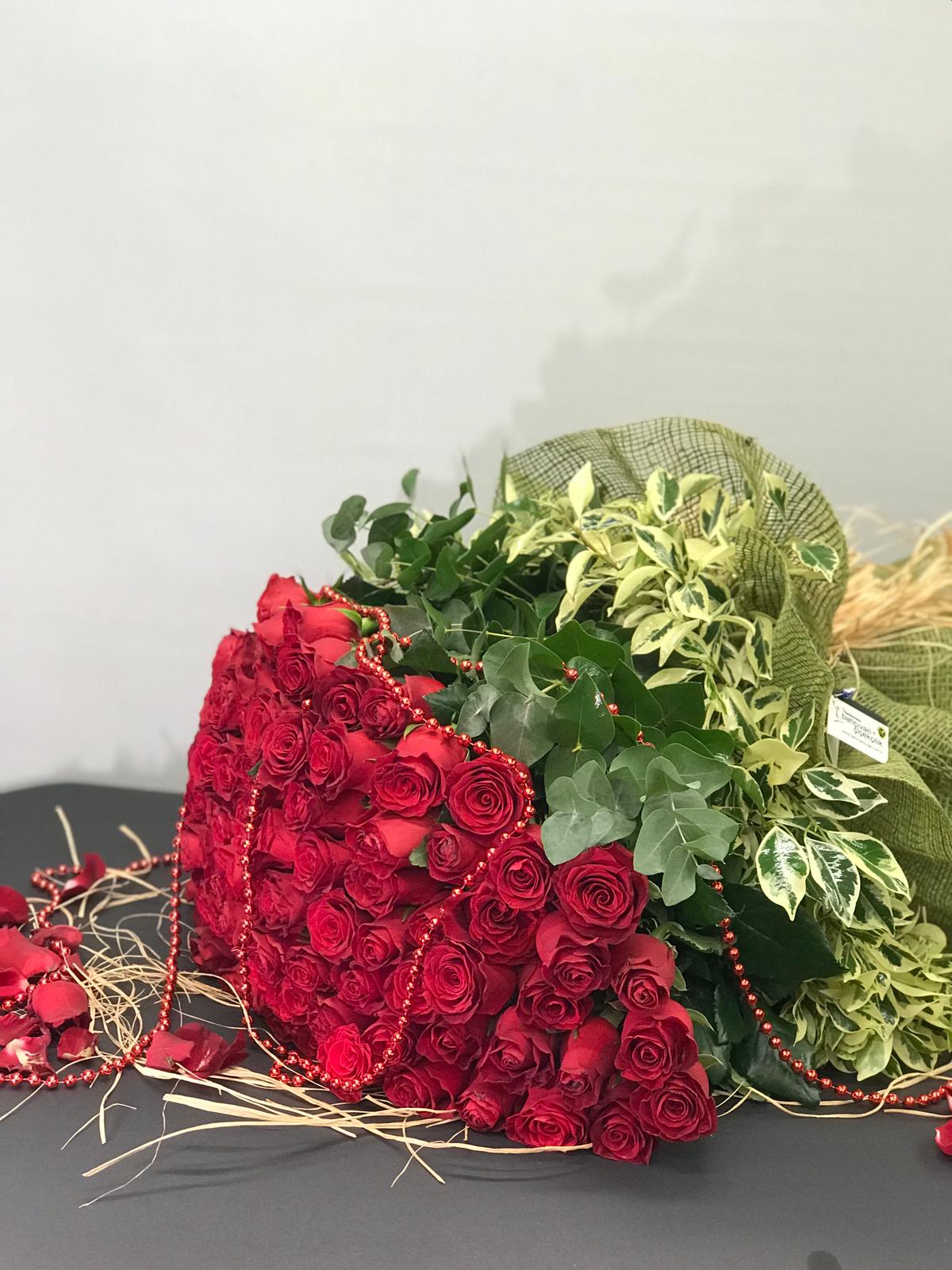 Kırmızı Gülün Büyüsü