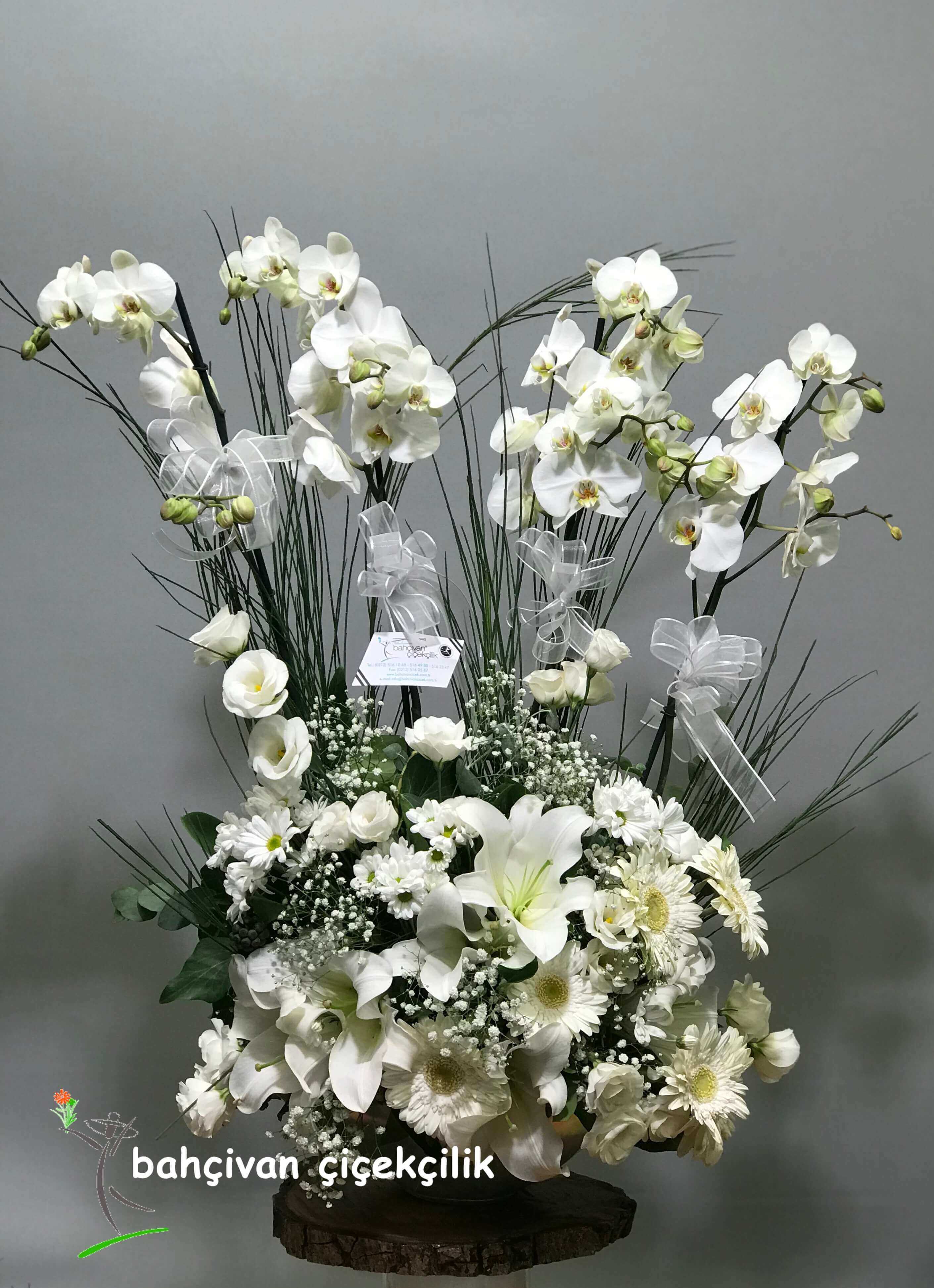 İhtişamlı Orkide Aranjmanı