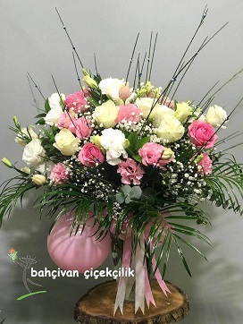 Yeni Doğan Çiçeği